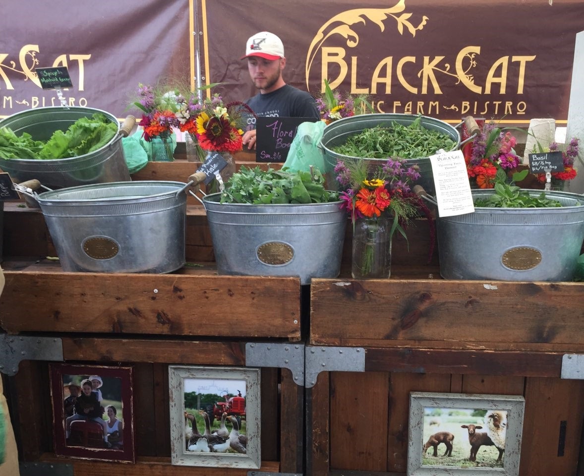 DONATE: 2024 CSA for a Family in Need | Black Cat Farm